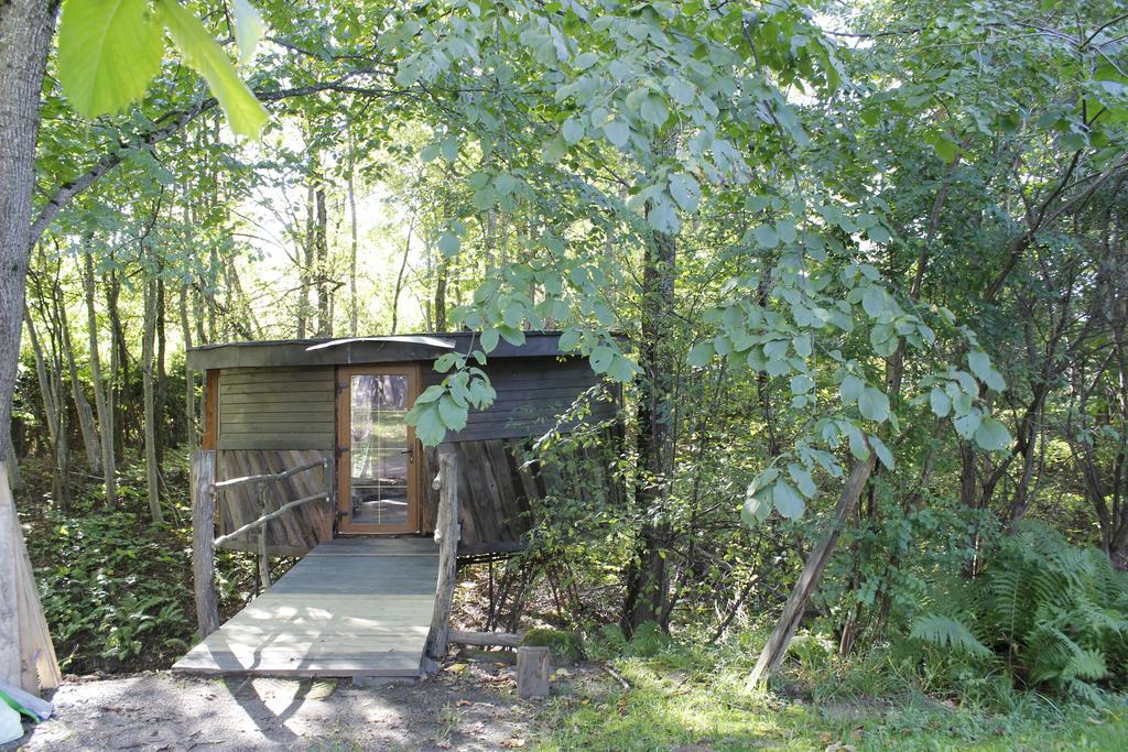Round House Apartment Sigulda Phòng bức ảnh